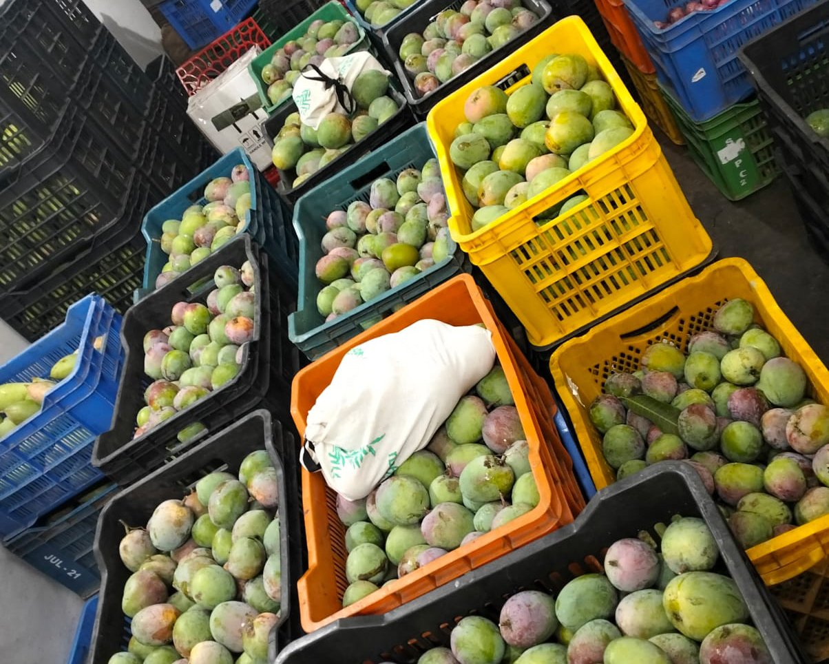 Farm fresh harvest shared with the team