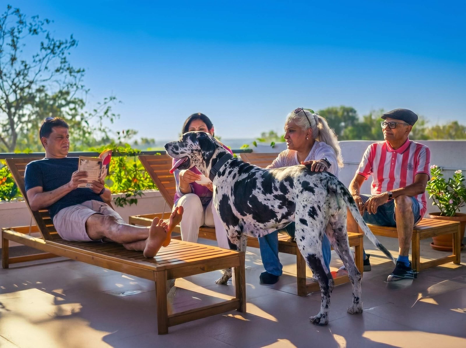 Hosachiguru Maamara farm experience Ramanagara hills