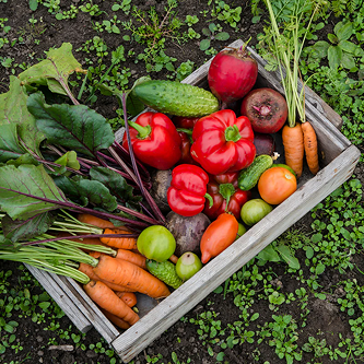Sacred time — cooking together outdoors