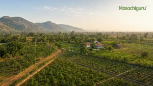 Aerial view of a Hosachiguru managed farmland project showing titled farm plots, agronomy operations, and hospitality cottages near Bengaluru