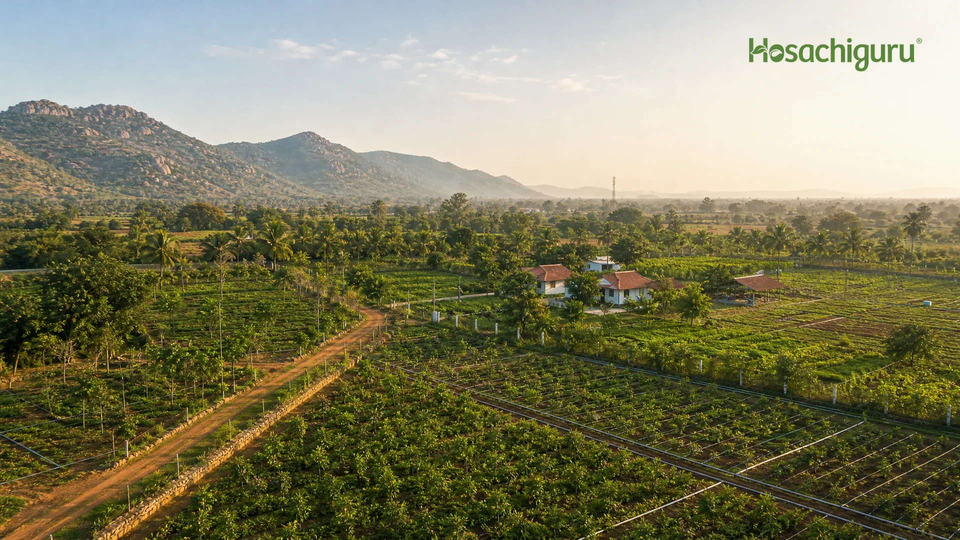 Aerial view of a Hosachiguru managed farmland project showing titled farm plots, agronomy operations, and hospitality cottages near Bengaluru