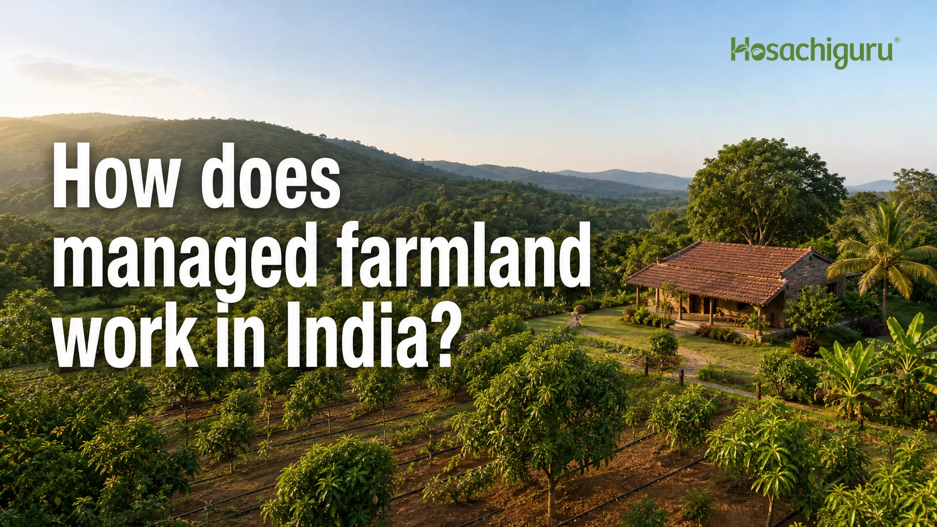 Managed farmland with organic crops and tree plantation near Bangalore